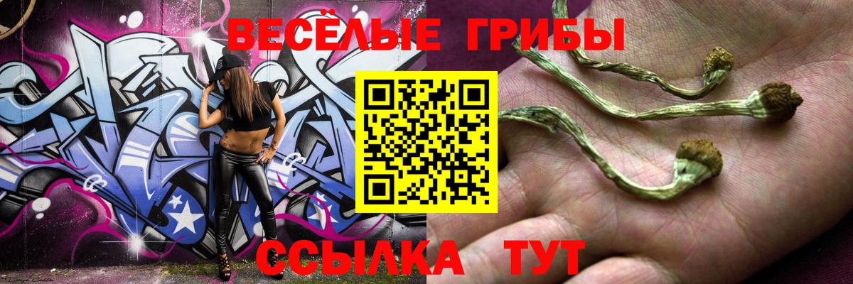 Псилоцибиновые грибы GOLDEN TEACHER  Вход с VPN  Сланцы 