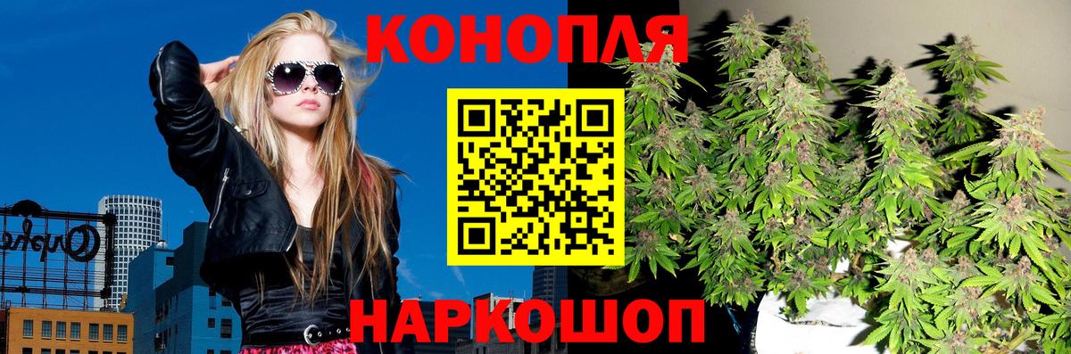 МАРИХУАНА OG Kush Сланцы